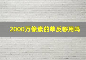 2000万像素的单反够用吗