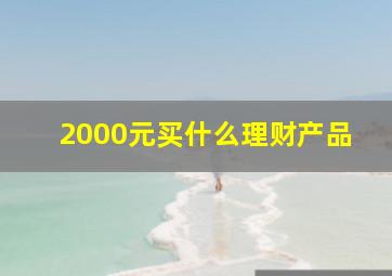 2000元买什么理财产品