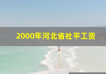 2000年河北省社平工资