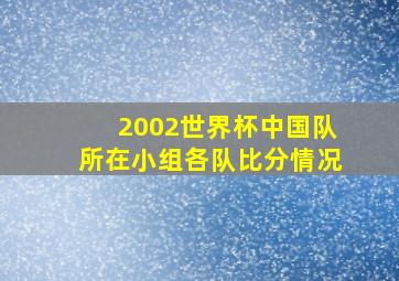 2002世界杯中国队所在小组各队比分情况