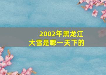 2002年黑龙江大雪是哪一天下的