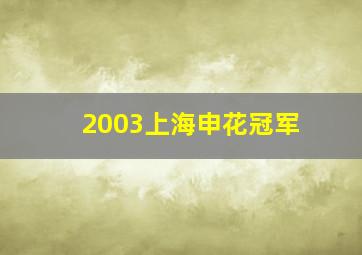 2003上海申花冠军