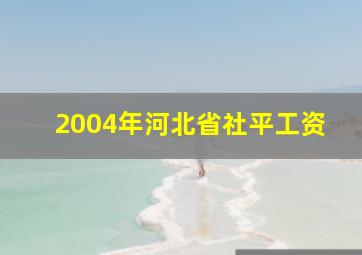 2004年河北省社平工资