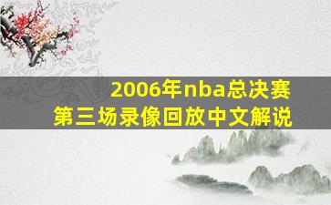 2006年nba总决赛第三场录像回放中文解说