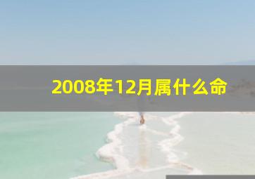 2008年12月属什么命