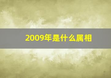 2009年是什么属相