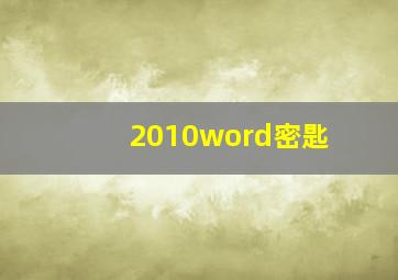 2010word密匙