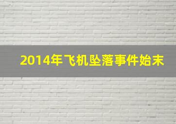 2014年飞机坠落事件始末