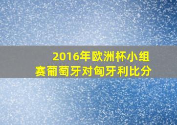 2016年欧洲杯小组赛葡萄牙对匈牙利比分