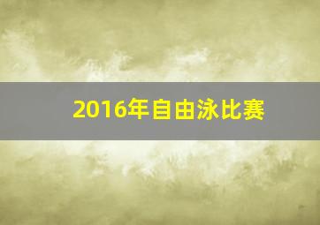 2016年自由泳比赛