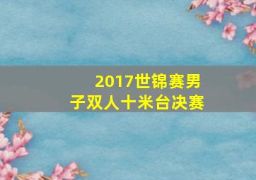 2017世锦赛男子双人十米台决赛