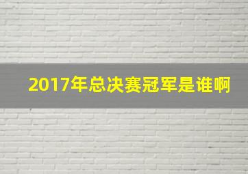 2017年总决赛冠军是谁啊