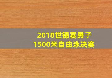 2018世锦赛男子1500米自由泳决赛