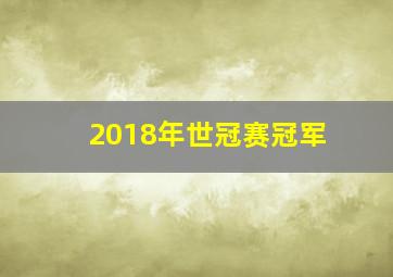 2018年世冠赛冠军