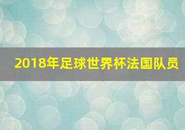 2018年足球世界杯法国队员