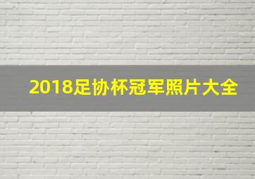 2018足协杯冠军照片大全