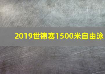 2019世锦赛1500米自由泳