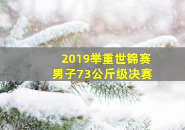 2019举重世锦赛男子73公斤级决赛