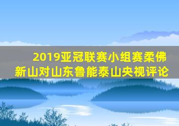 2019亚冠联赛小组赛柔佛新山对山东鲁能泰山央视评论