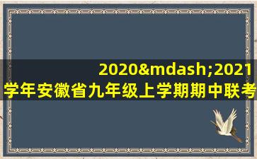 2020—2021学年安徽省九年级上学期期中联考卷