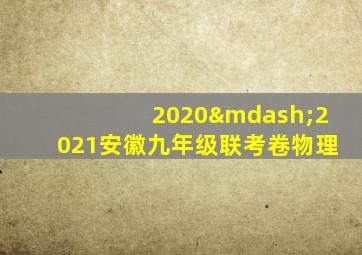 2020—2021安徽九年级联考卷物理