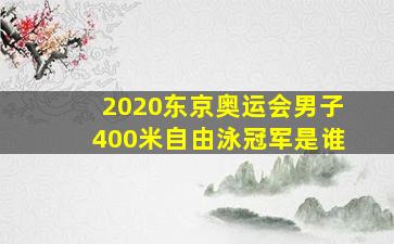 2020东京奥运会男子400米自由泳冠军是谁