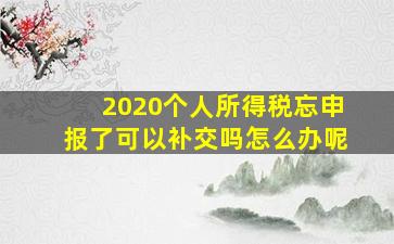 2020个人所得税忘申报了可以补交吗怎么办呢