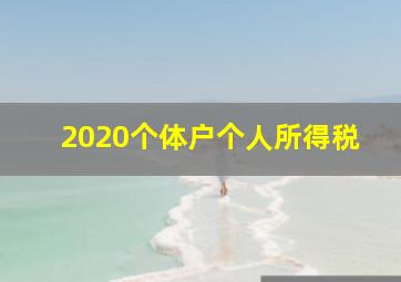 2020个体户个人所得税