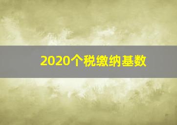 2020个税缴纳基数