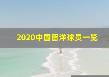 2020中国留洋球员一览