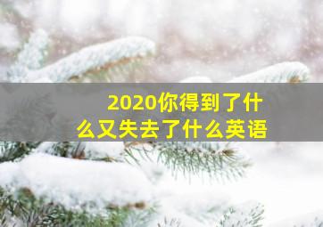 2020你得到了什么又失去了什么英语