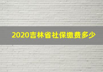 2020吉林省社保缴费多少