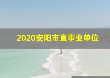 2020安阳市直事业单位