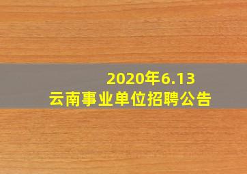 2020年6.13云南事业单位招聘公告