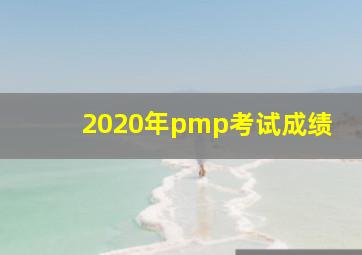 2020年pmp考试成绩