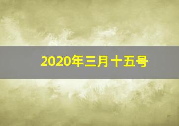 2020年三月十五号