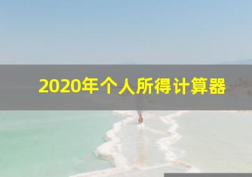 2020年个人所得计算器