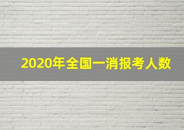 2020年全国一消报考人数