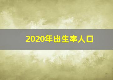 2020年出生率人口