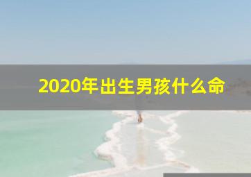 2020年出生男孩什么命