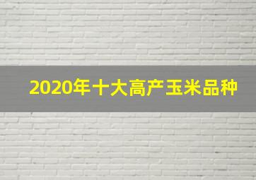 2020年十大高产玉米品种