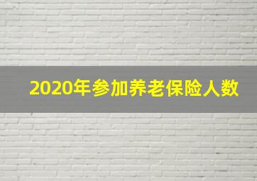 2020年参加养老保险人数