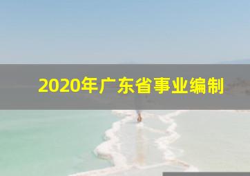 2020年广东省事业编制