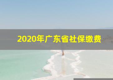 2020年广东省社保缴费