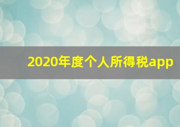 2020年度个人所得税app