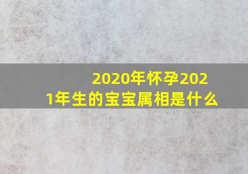 2020年怀孕2021年生的宝宝属相是什么