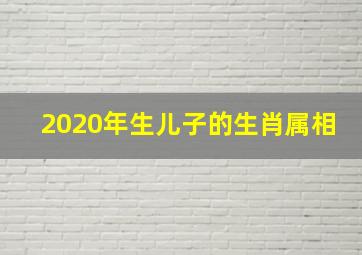 2020年生儿子的生肖属相