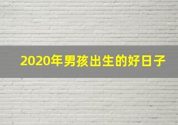 2020年男孩出生的好日子