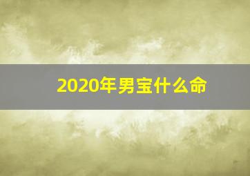 2020年男宝什么命