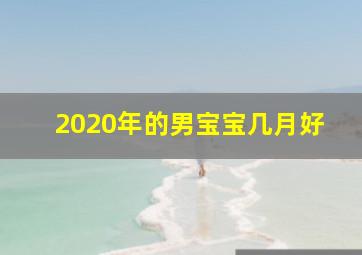 2020年的男宝宝几月好